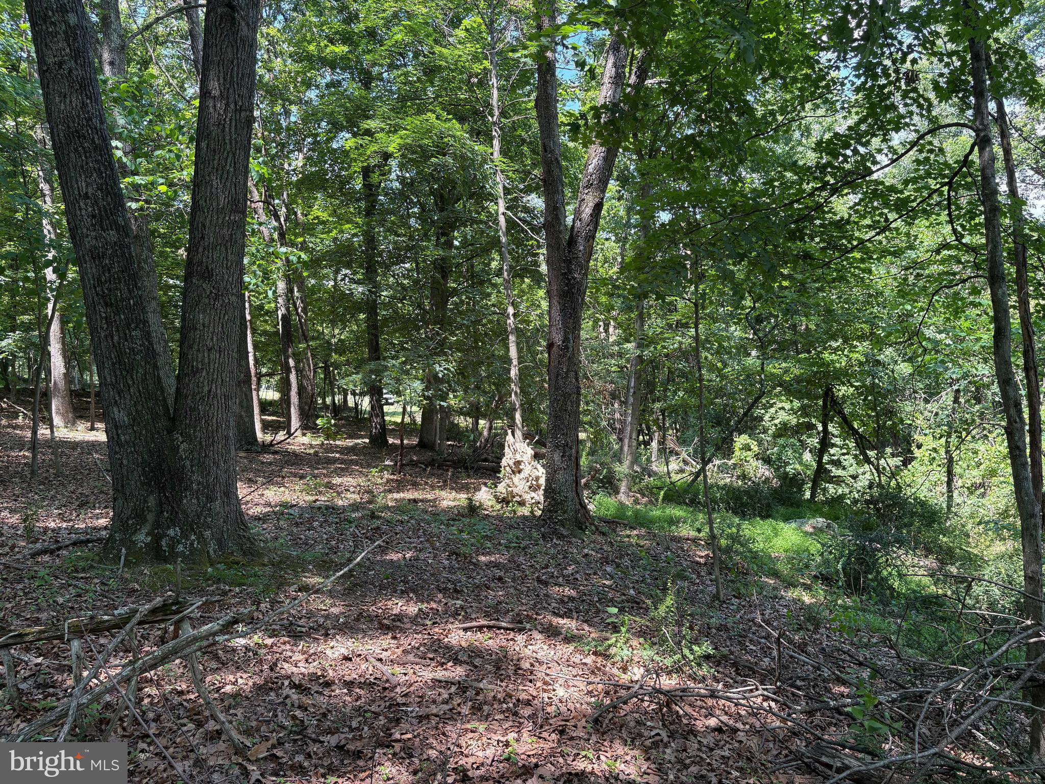 16 Rolling Acres Road Old Fields, WV 26845 - Photo 12 of 21