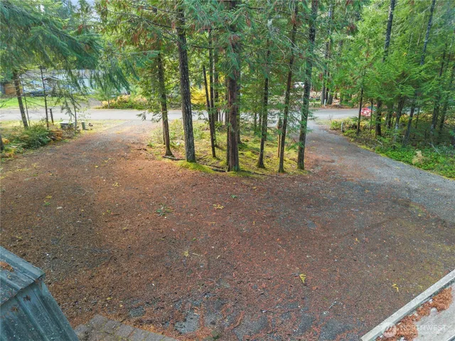 a view of a backyard with large trees and wooden fence