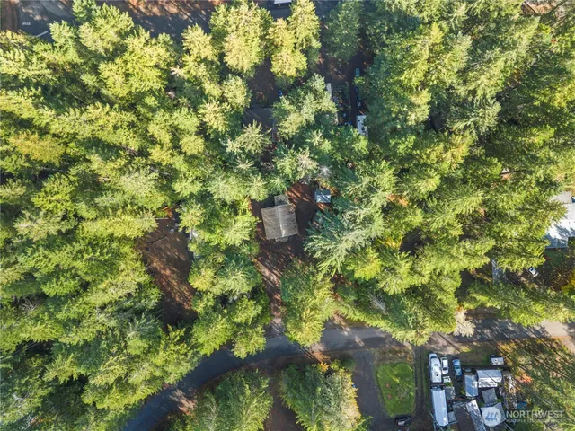 a view of a house with a big yard and palm trees