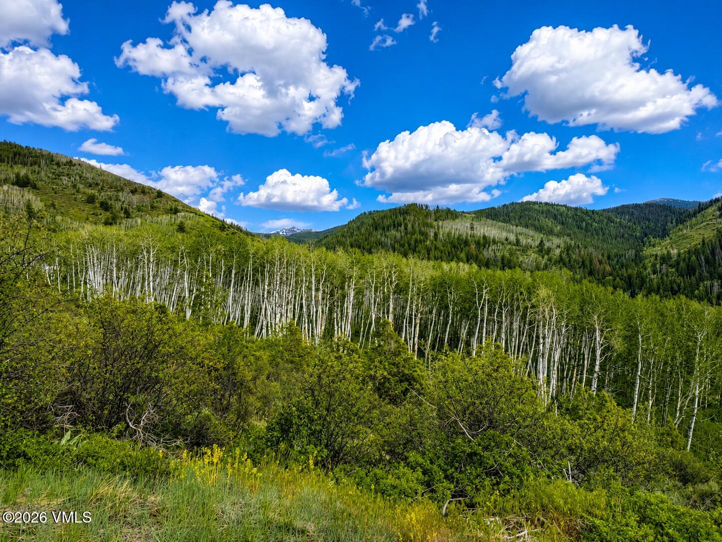 6010 Salt Creek Road Eagle, CO 81631 - Photo 38 of 69 View from Parcel 3 Garage