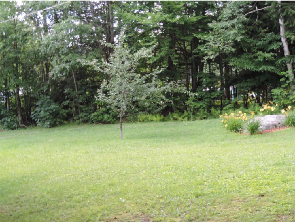 5532 Vermont Rte 111 Morgan, VT 05853 - Photo 19 of 20 Gallery Image 19