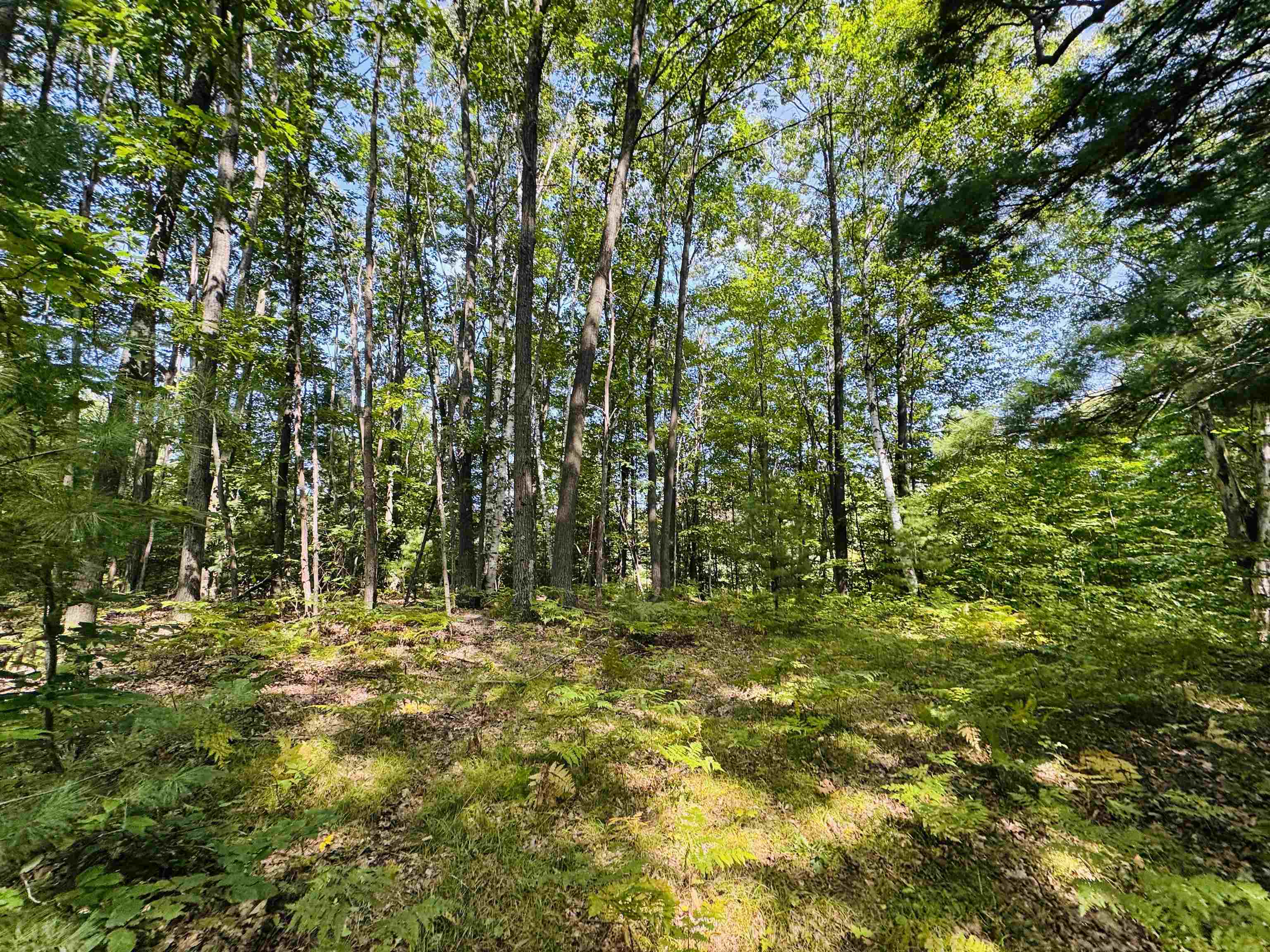 Steed Road Buckley, MI 49620 - Photo 4 of 4