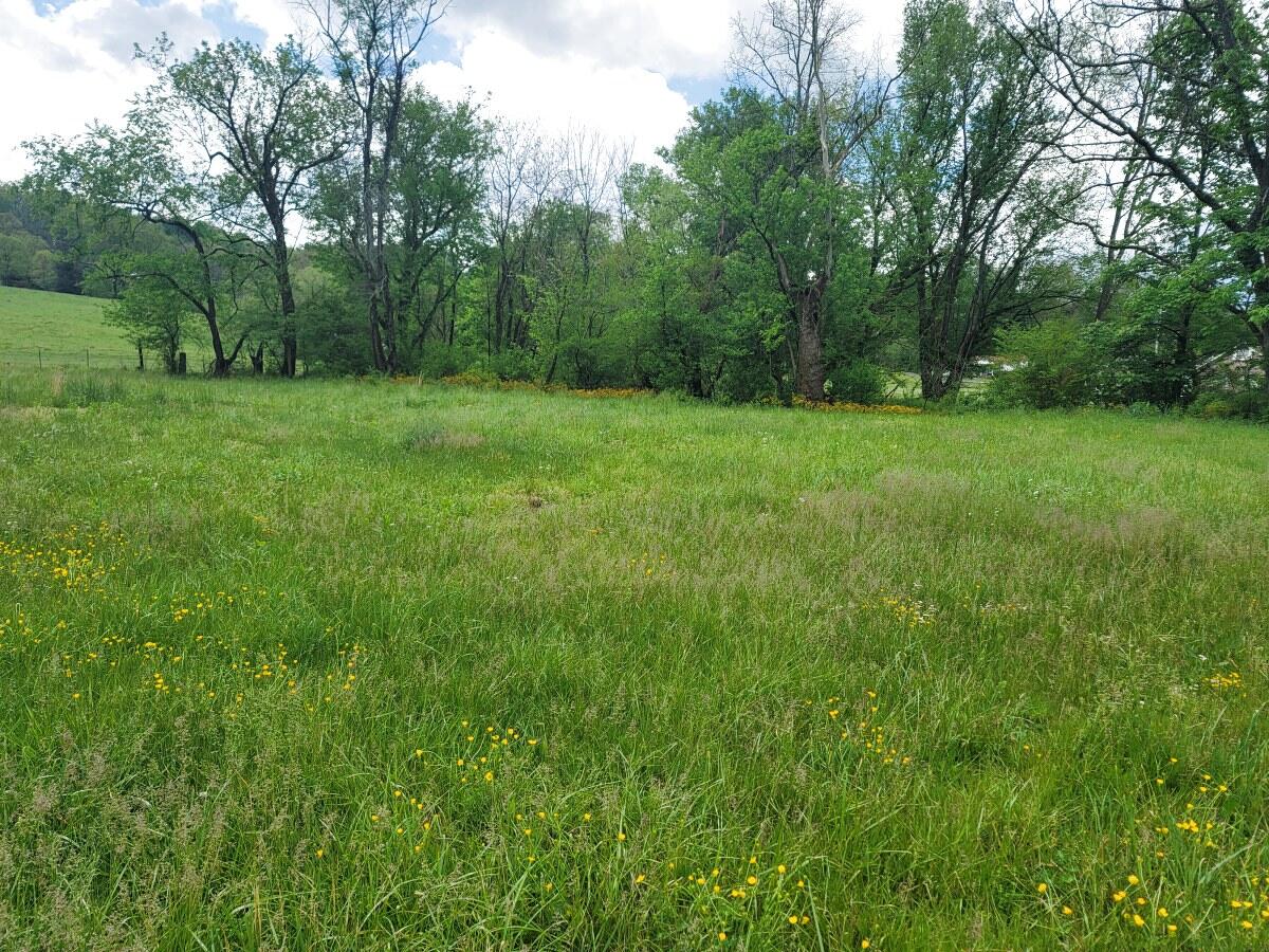 136 Muddy Branch Road, Unit AA1 Elizabethton, TN 37643 - Photo 1 of 12 136 Muddy Branch (2)