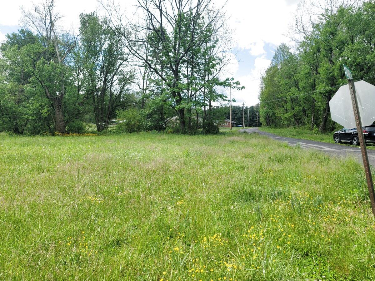 136 Muddy Branch Road, Unit AA1 Elizabethton, TN 37643 - Photo 4 of 12 136 Muddy Branch (4)