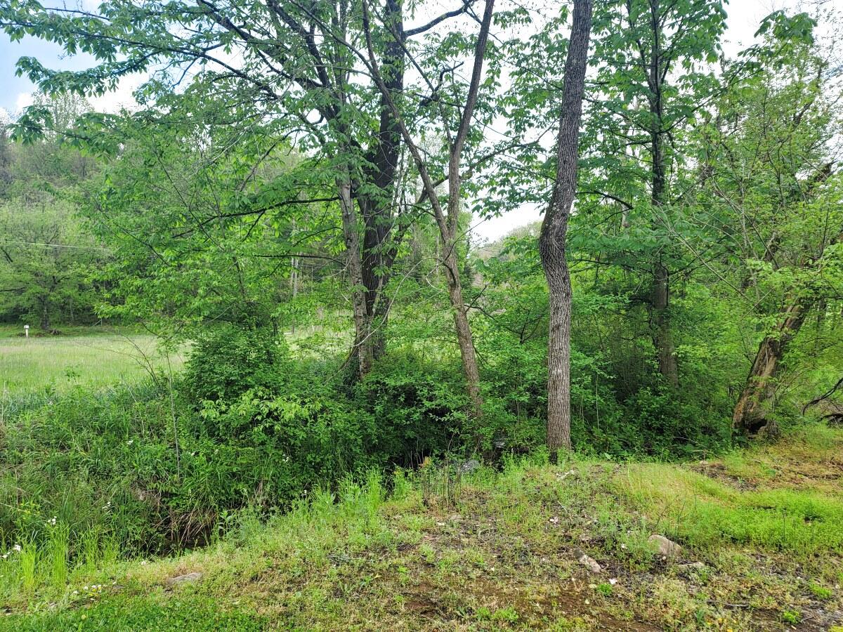 136 Muddy Branch Road, Unit AA1 Elizabethton, TN 37643 - Photo 7 of 12 136 Muddy Branch (7)