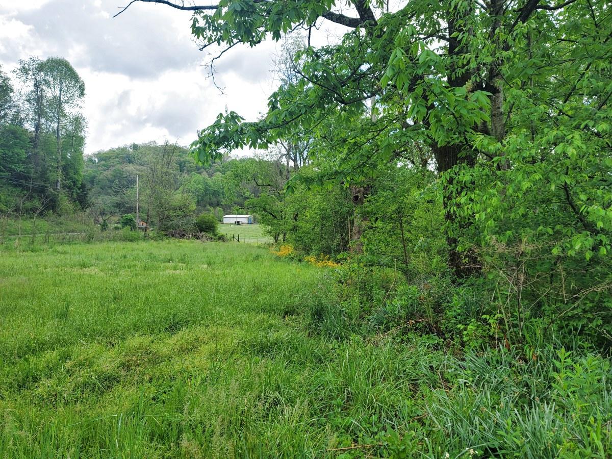 136 Muddy Branch Road, Unit AA1 Elizabethton, TN 37643 - Photo 9 of 12 136 Muddy Branch (9)