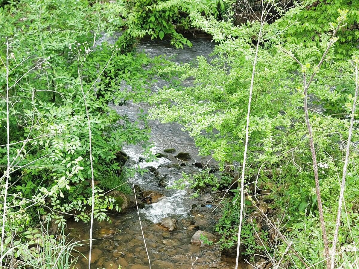 136 Muddy Branch Road, Unit AA1 Elizabethton, TN 37643 - Photo 10 of 12 136 Muddy Branch (10)
