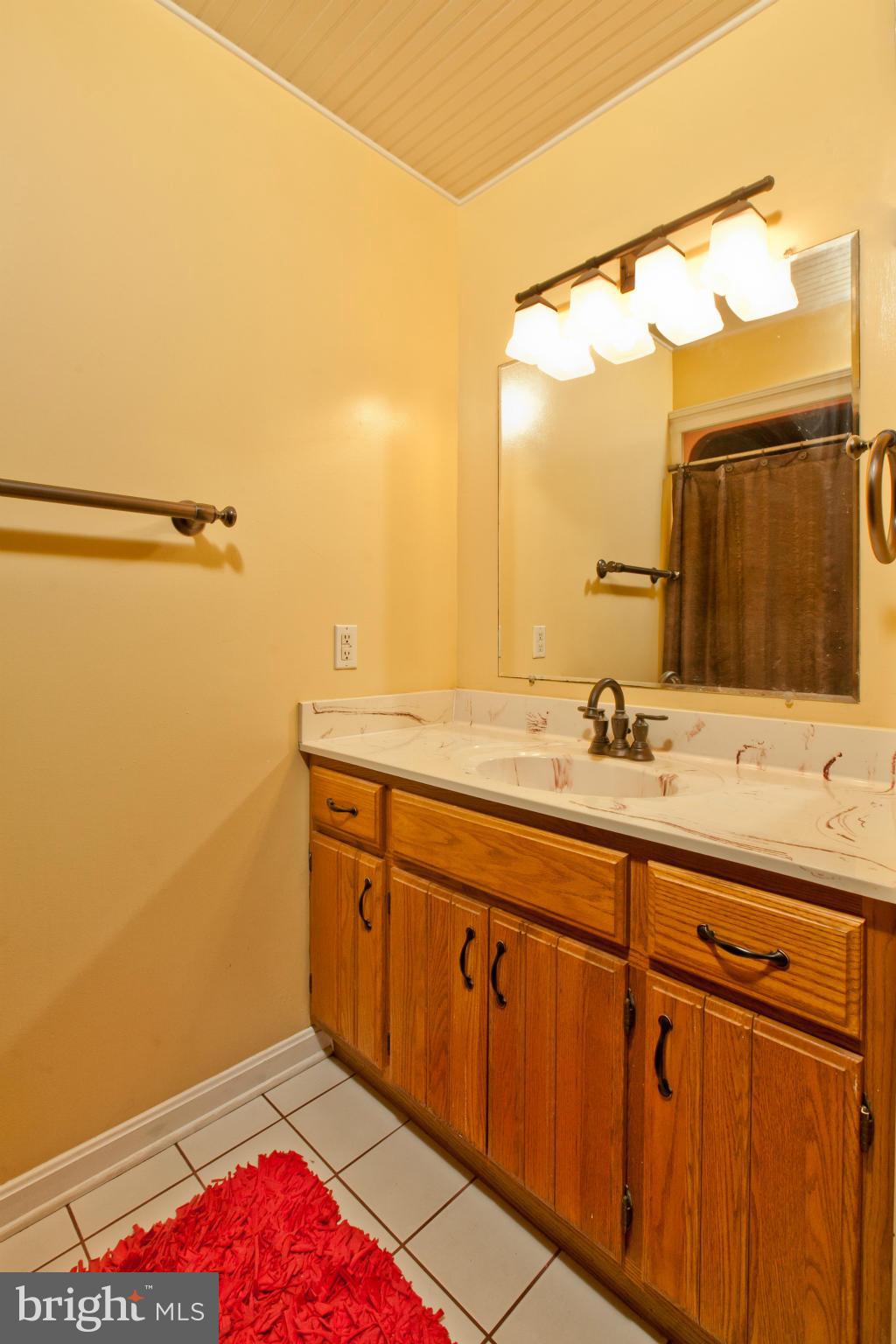 10827 Shanktown Road Big Pool, MD 21711 - Photo 15 of 30 Bath (Master)