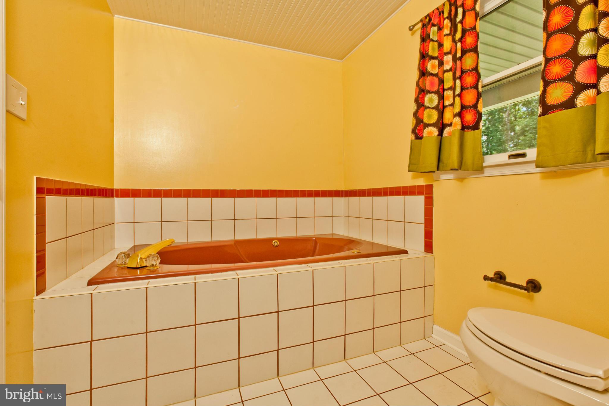 10827 Shanktown Road Big Pool, MD 21711 - Photo 16 of 30 Bath (Master)