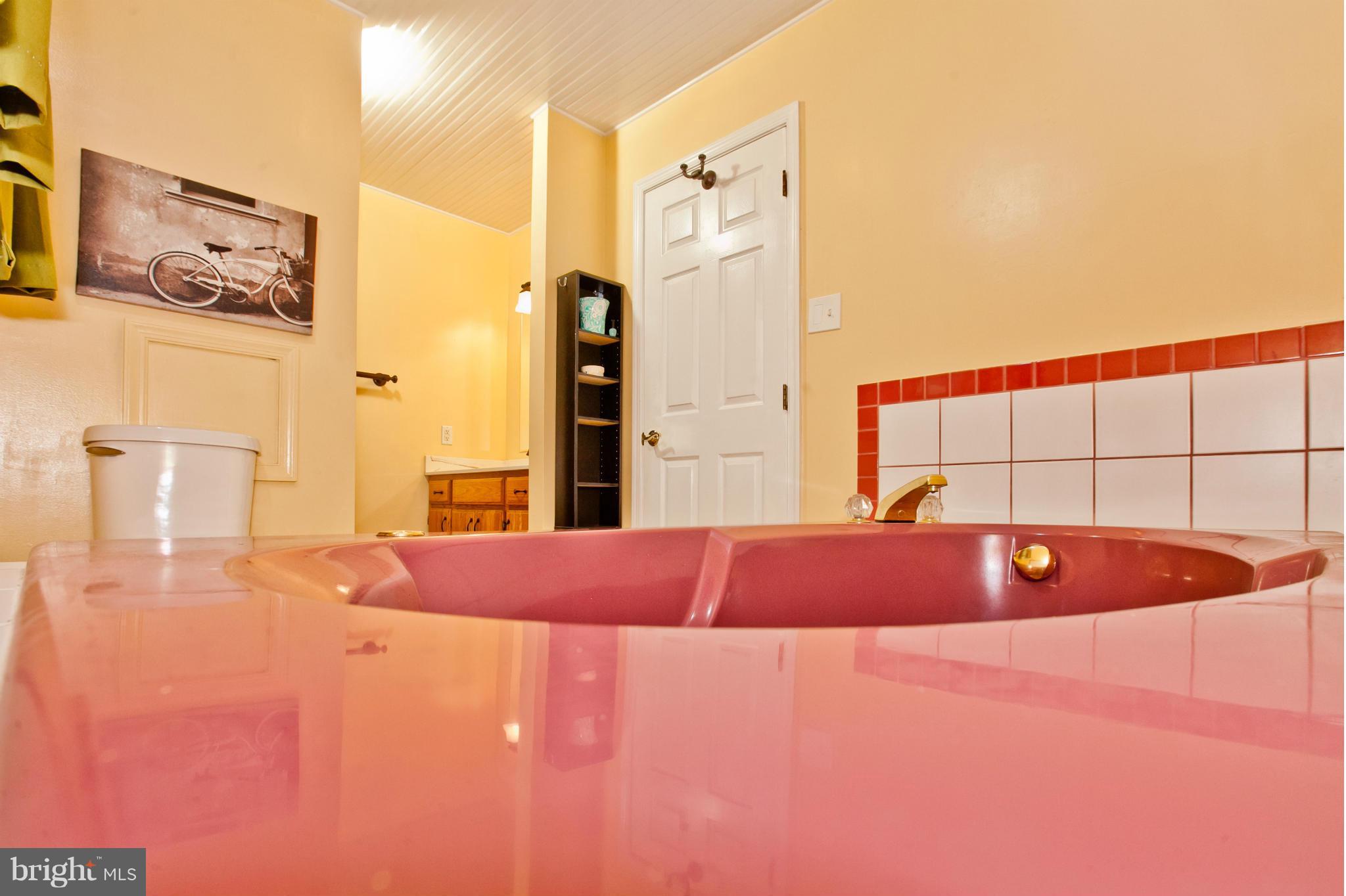 10827 Shanktown Road Big Pool, MD 21711 - Photo 17 of 30 Bath (Master)