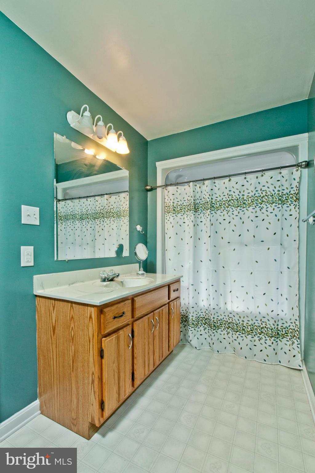10827 Shanktown Road Big Pool, MD 21711 - Photo 19 of 30 Bath