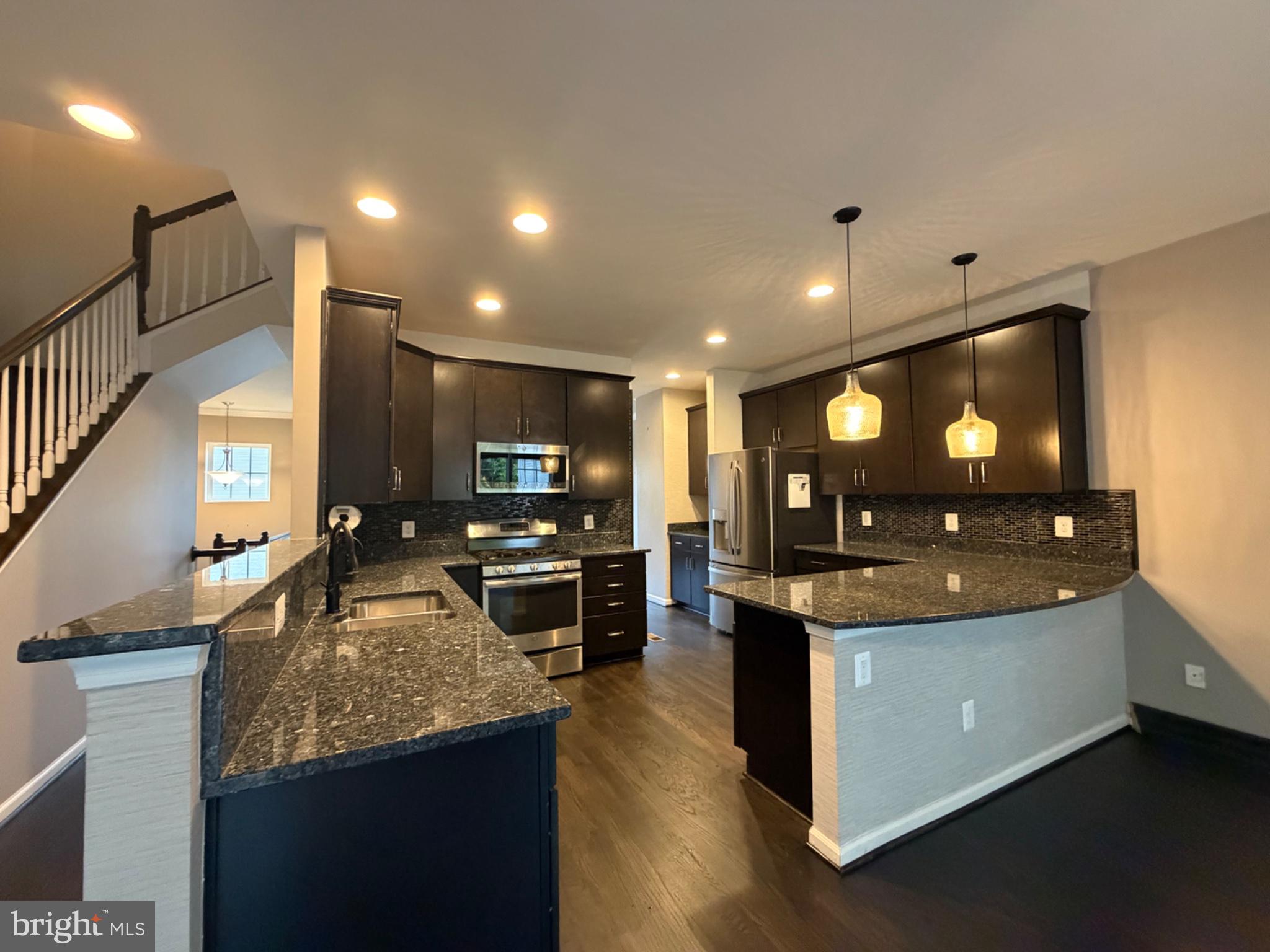 25333 Wakestone Terrace Chantilly, VA 20152 - Photo 9 of 109 Sleek modern kitchen with elegance.
