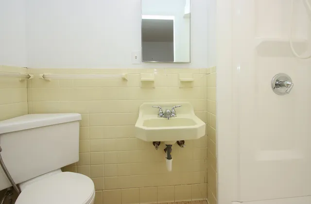 a bathroom with a toilet sink and mirror