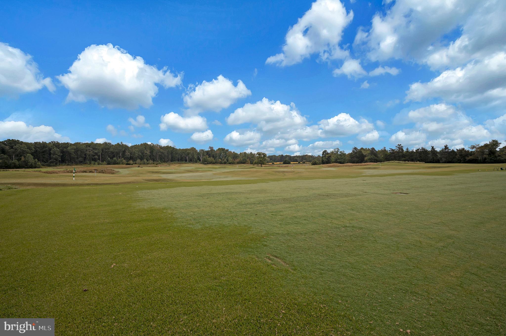 18379 Hewes Terrace Ruther Glen, VA 22546 - Photo 71 of 72 Golf Course