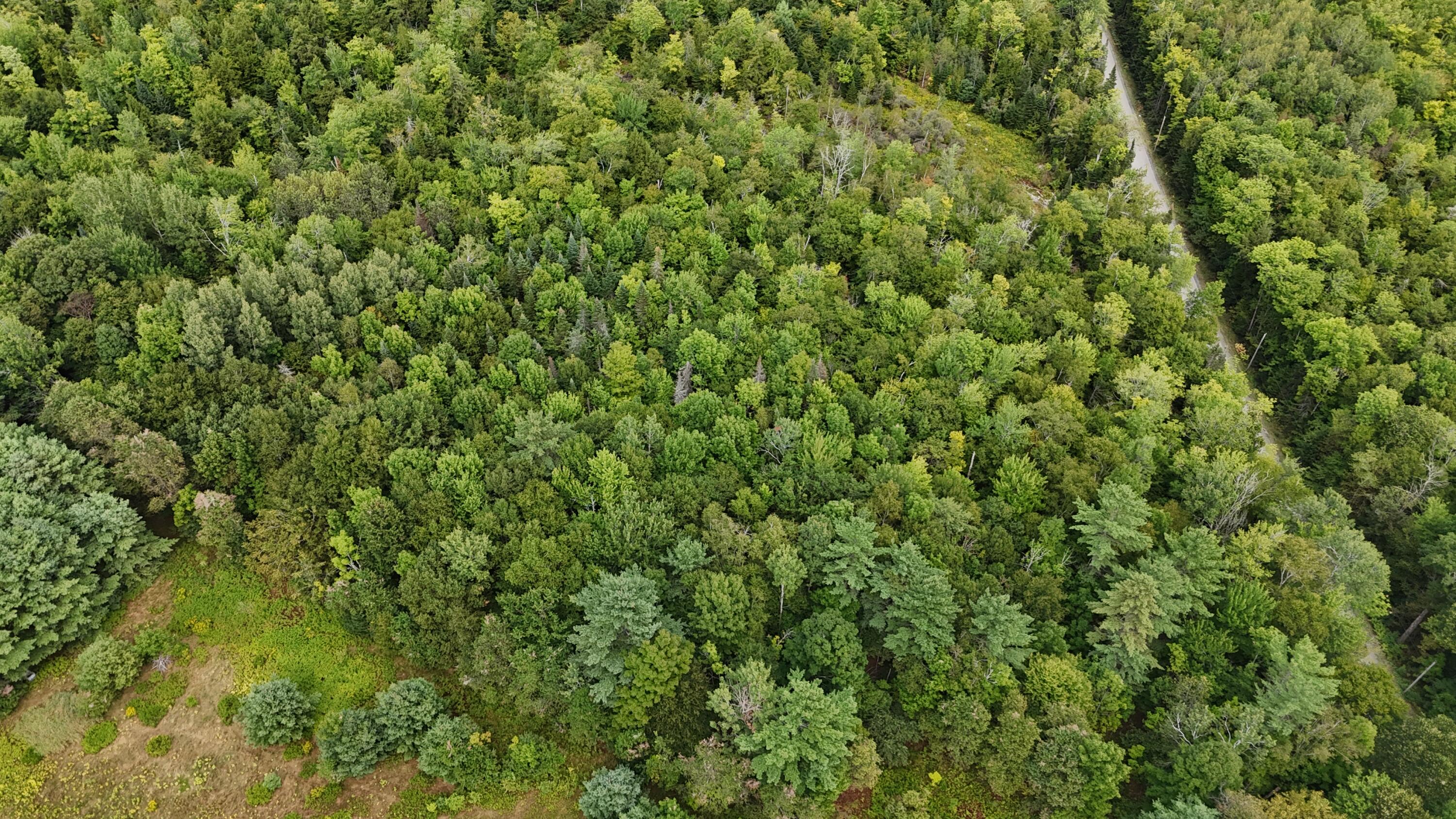 Tbd Ballard Road St. Albans, ME 04971 - Photo 2 of 6 DJI_20250821025446_0175_D