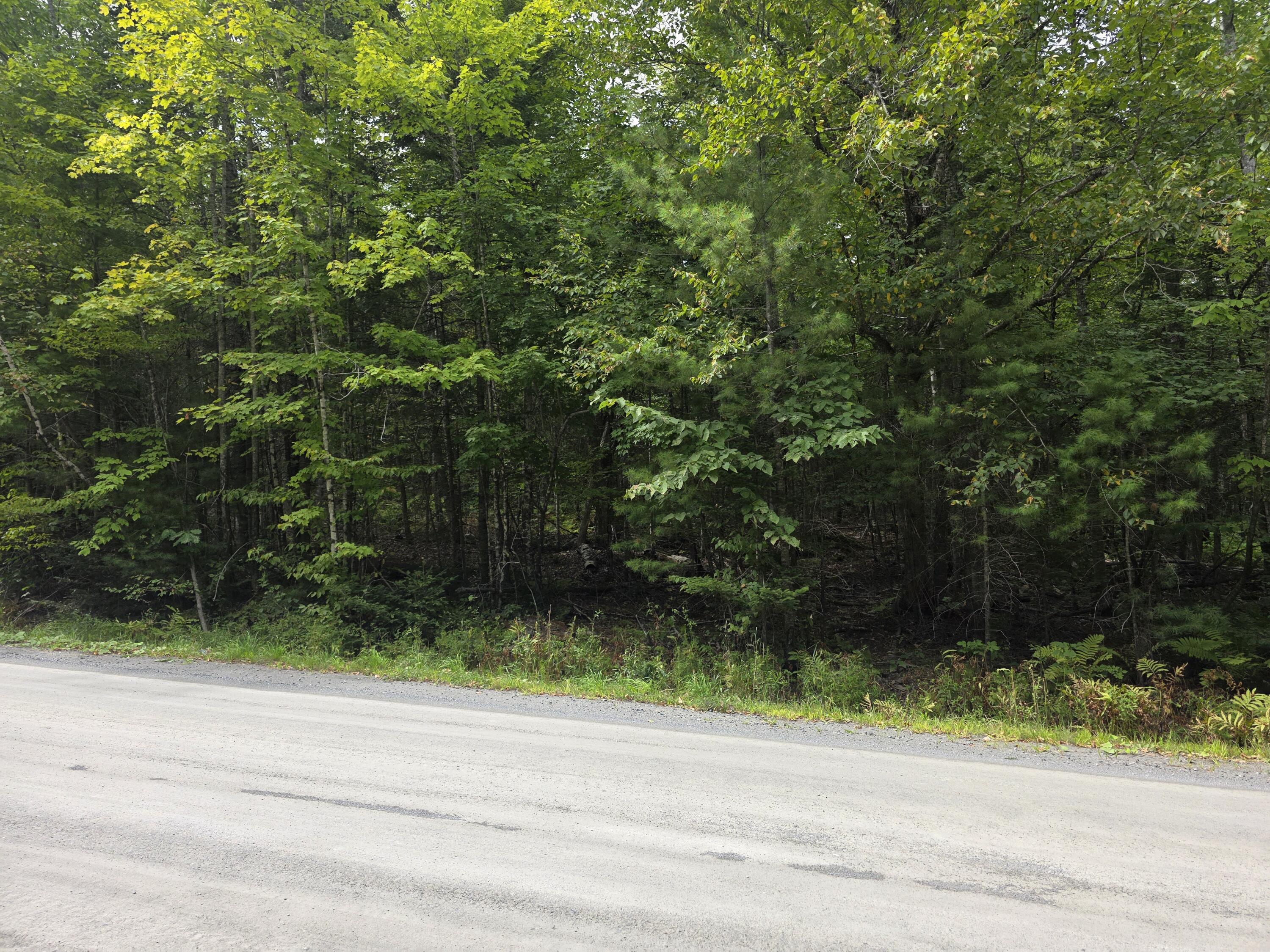 Tbd Ballard Road St. Albans, ME 04971 - Photo 5 of 6 1000007637