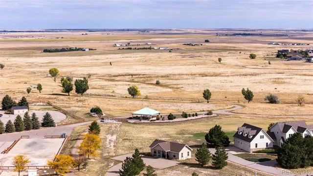 a view of a park with trees