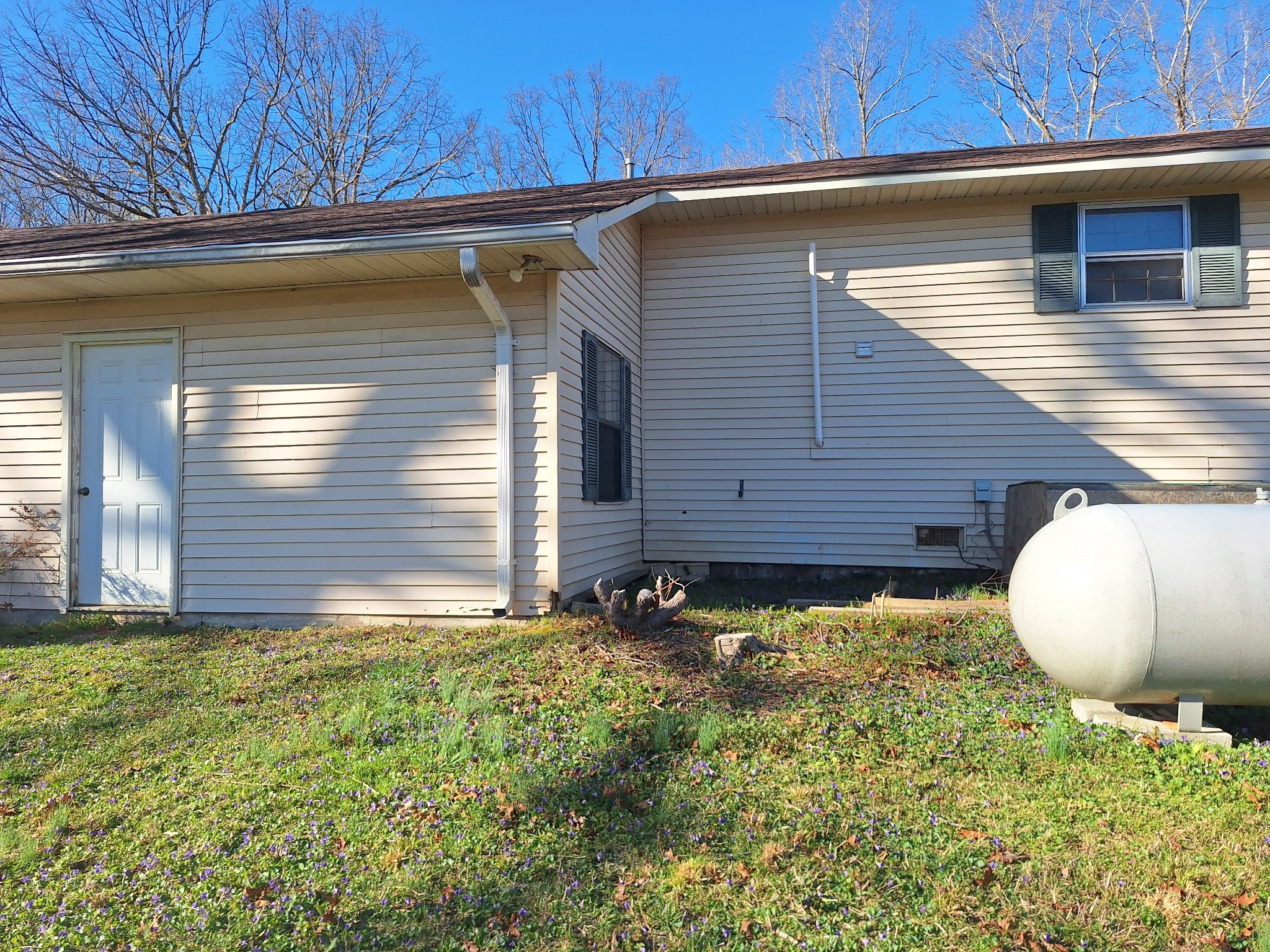 538 Mt Nebo Road Iron City, TN 38463 - Photo 33 of 33 a view of a backyard of the house