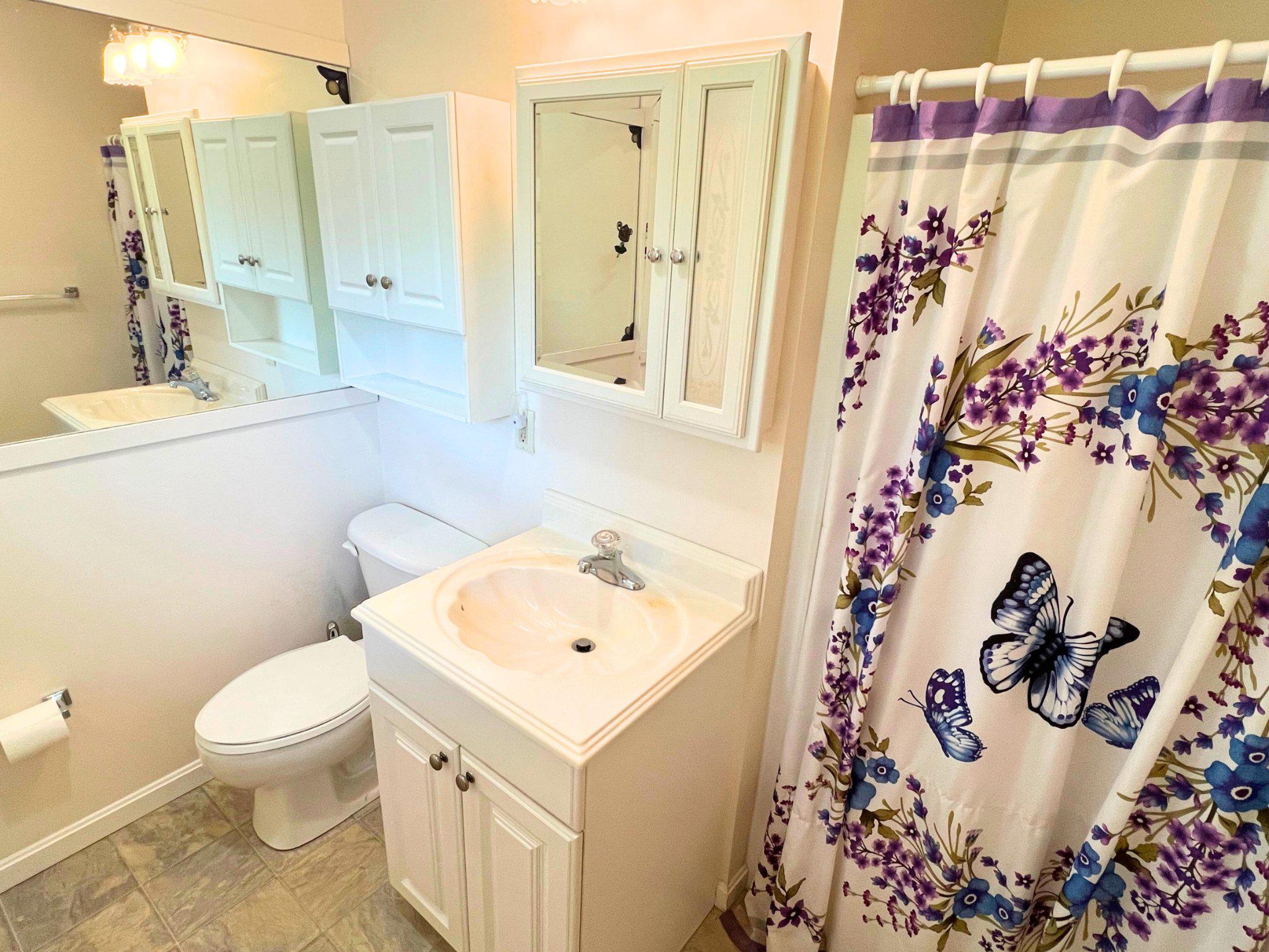 8531 Solomons Island Road North Owings, MD 20736 - Photo 8 of 12 a bathroom with a sink and mirror with toilet