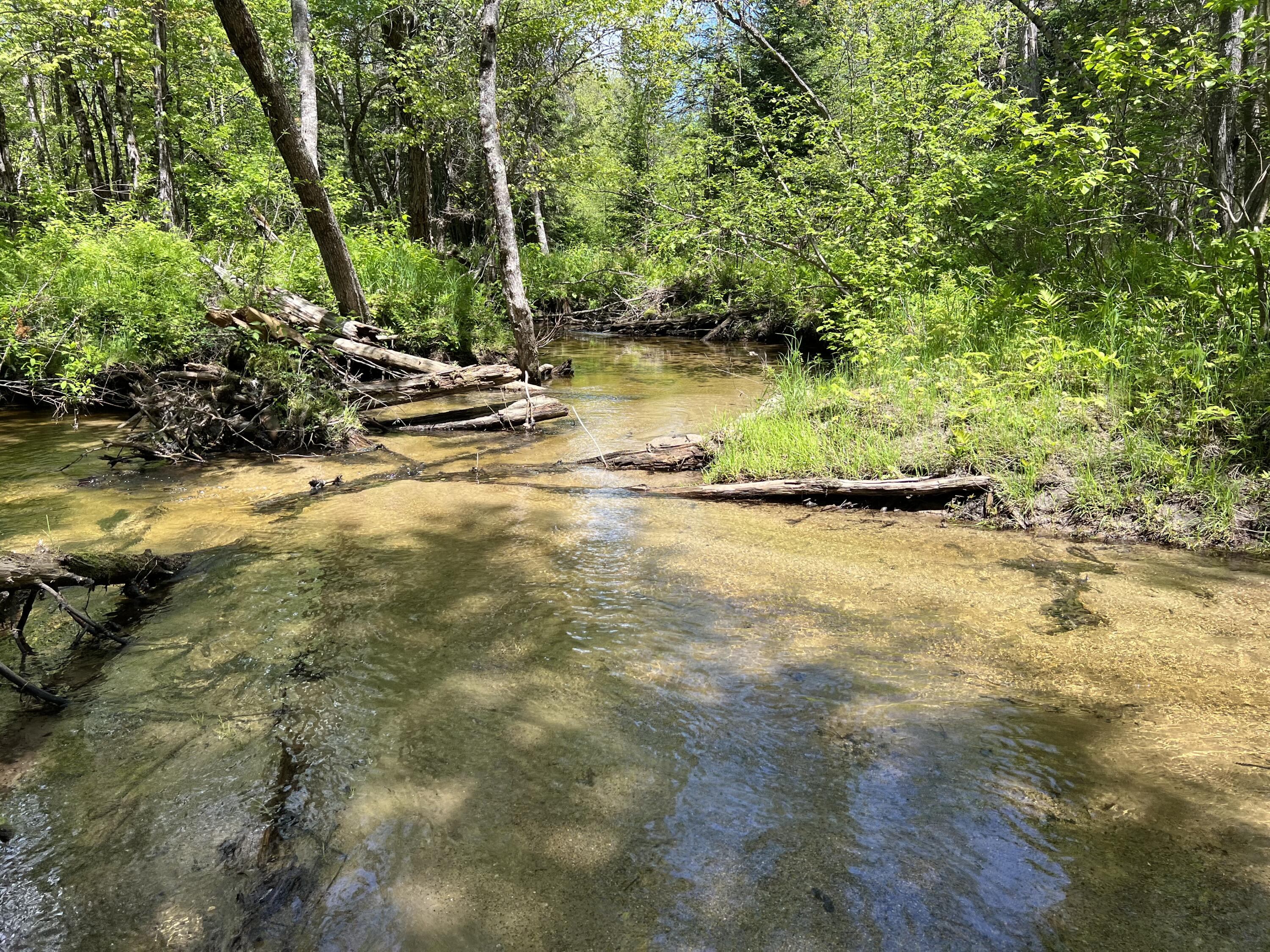 Lot A Goodwin Road Carthage, ME 04224 - Photo 23 of 46 Brook