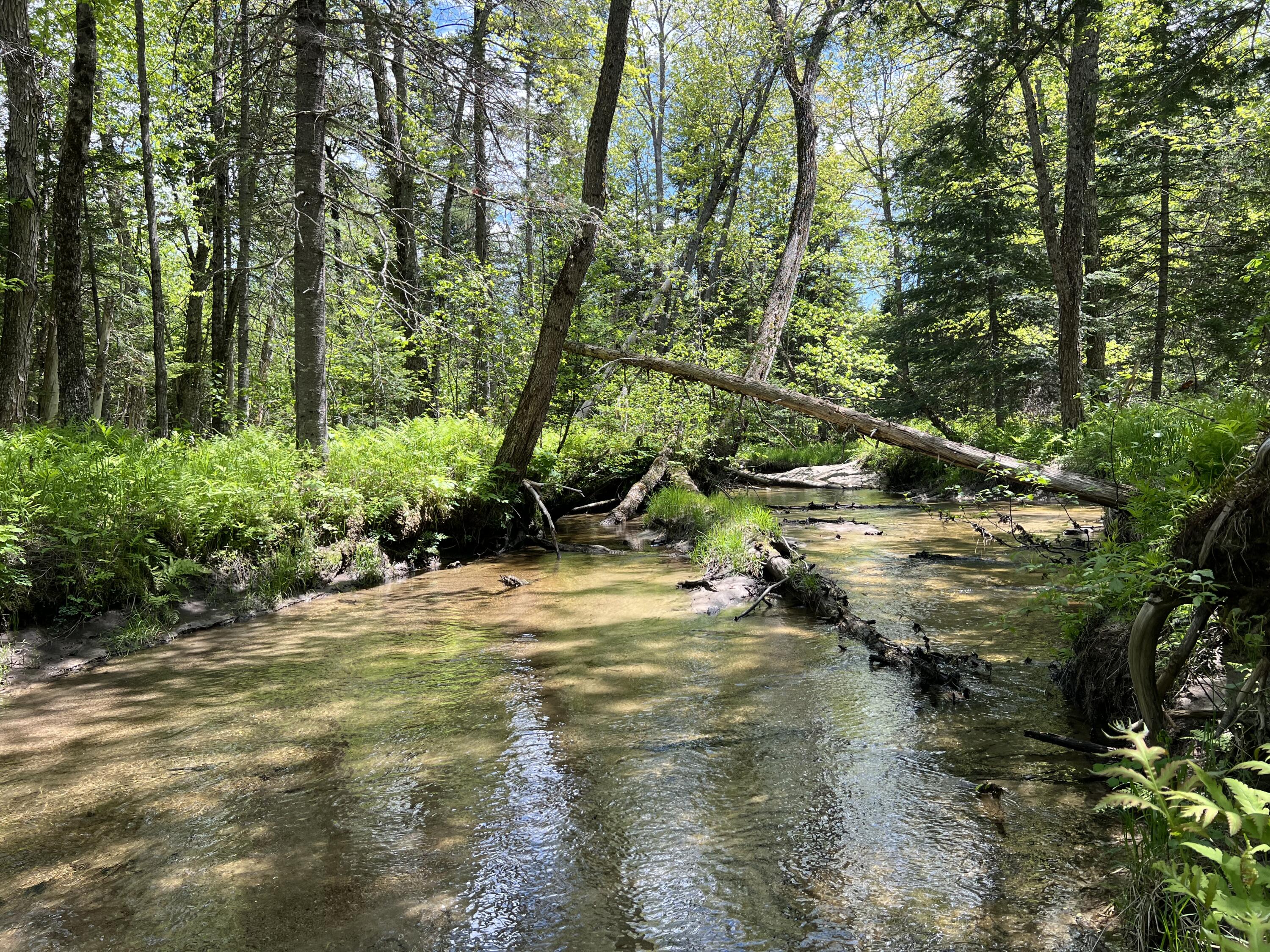 Lot A Goodwin Road Carthage, ME 04224 - Photo 24 of 46 Brook