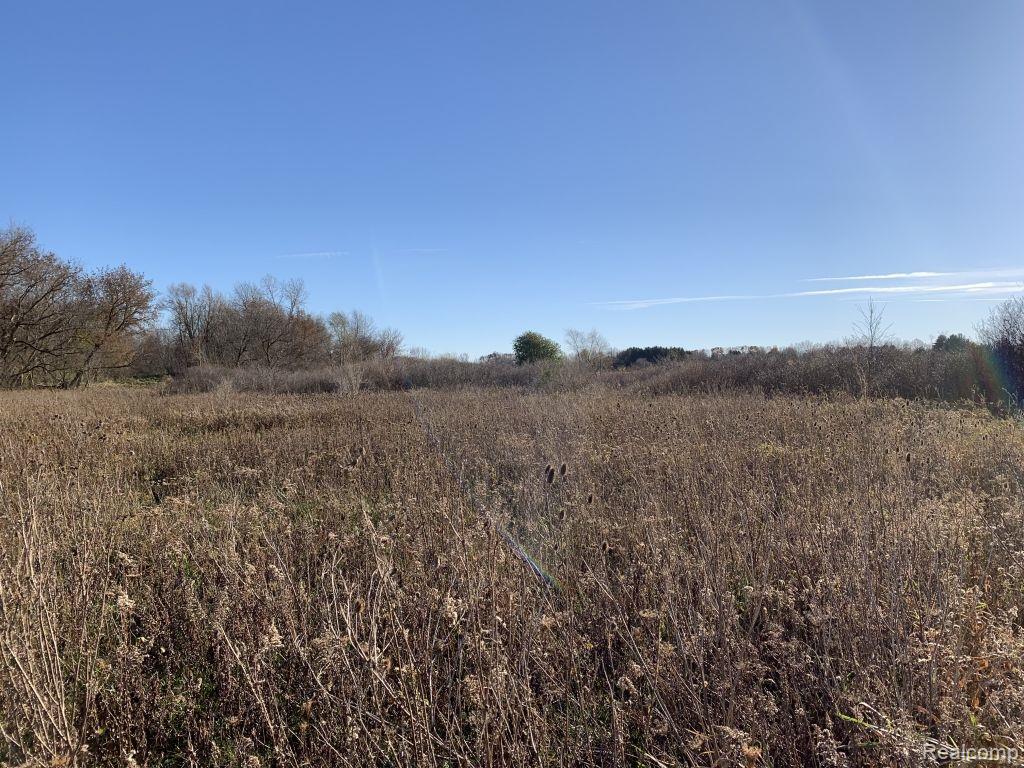 0 Reek Road Imlay City, MI 48444 - Photo 16 of 19