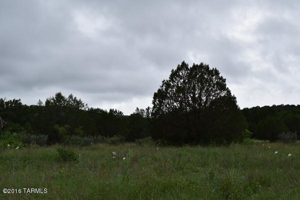 Umpire Ranch Road Elgin, AZ 85611 - Photo 13 of 27
