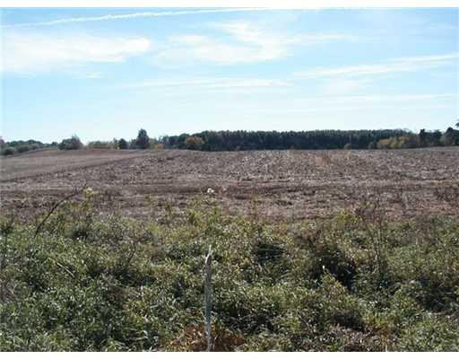 0 Winters Road Grass Lake, MI 49240 - Photo 1 of 4 Photo 1