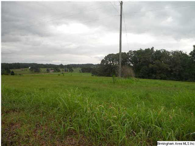 Wilson Chapel Road Oneonta, AL 35121 - Photo 2 of 2