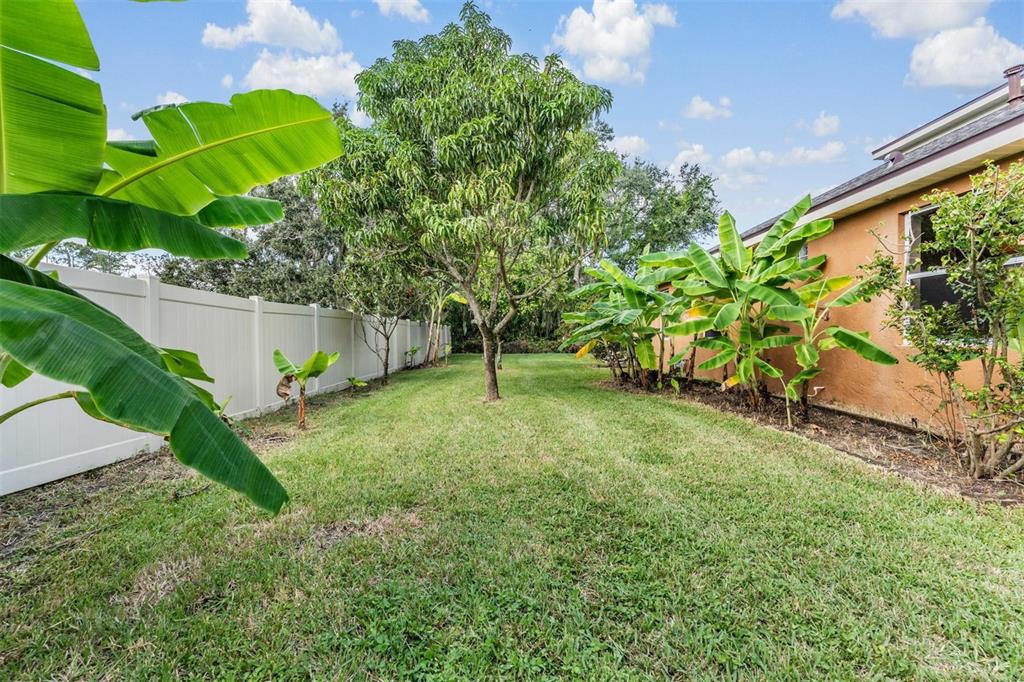 7900 Umbrella Pine Way Sarasota, FL 34241 - Photo 52 of 59