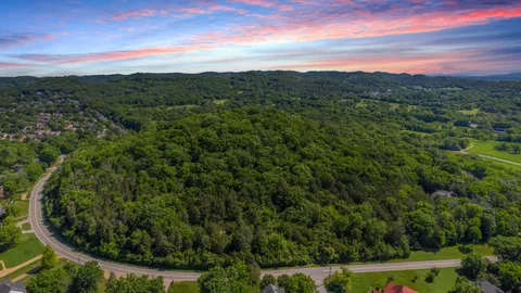 an aerial view of a house with a lush green forest