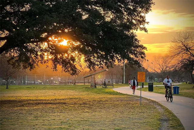 a view of road with large trees