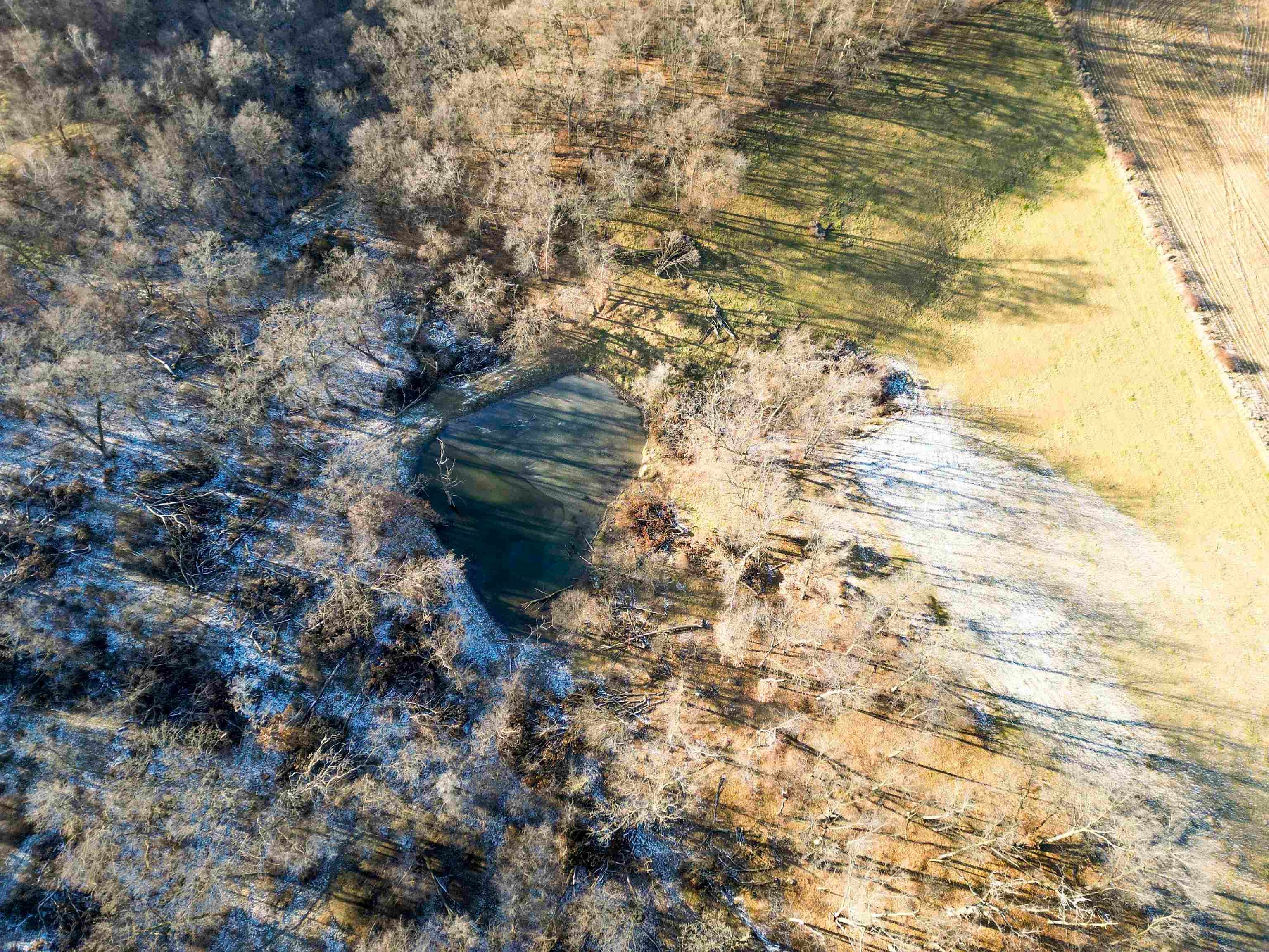 0 Lycurgus Road Waukon, IA 52172 - Photo 9 of 24 Gallery Image 9