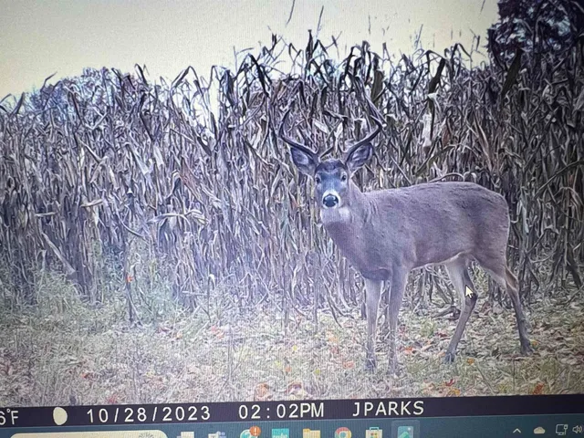 $460,000 | 49 State Road, Weyauwega, WI 54983