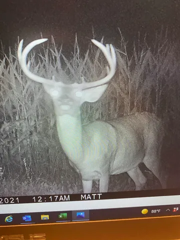 $460,000 | 49 State Road, Weyauwega, WI 54983