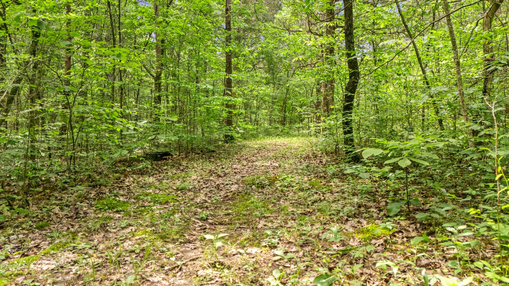 2101 Murray-Kittrell Road Readyville, TN 37149 - Photo 36 of 39 Gallery Image 36