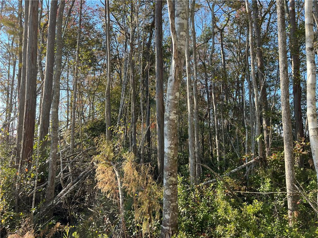 99 Highway 99 Townsend, GA 31331 - Photo 17 of 36