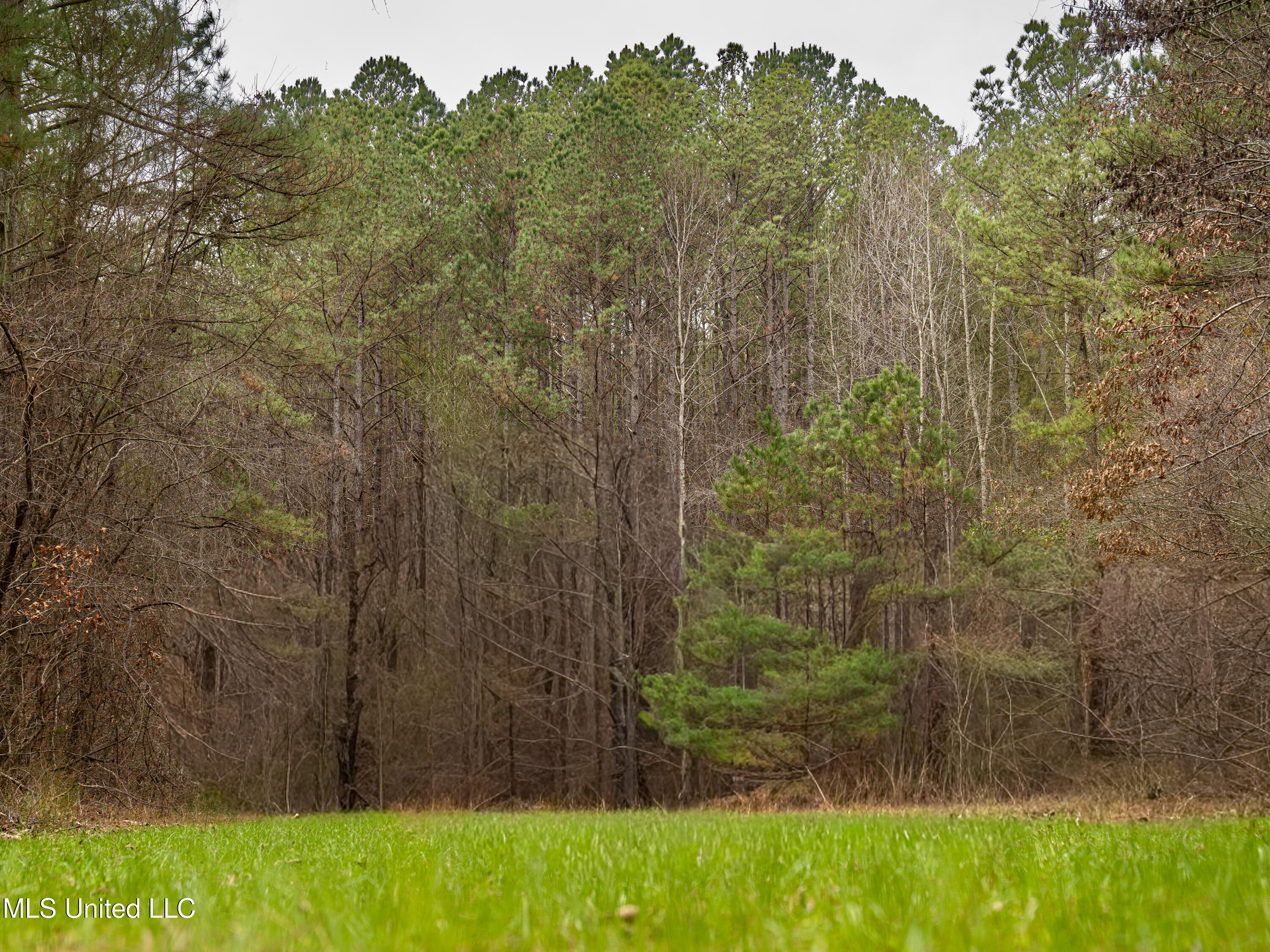 0 Liberty Church Road Meridian, MS 39301 - Photo 11 of 23 MIDWEST Drone 175acre-73