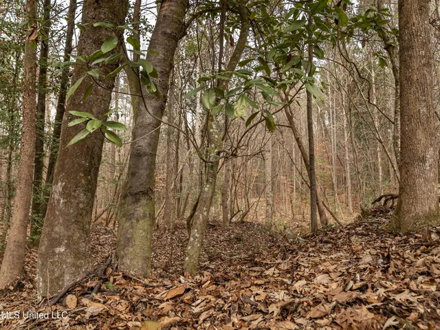 $542,500 | 0 Liberty Church Road, Meridian, MS 39301