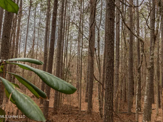 $542,500 | 0 Liberty Church Road, Meridian, MS 39301