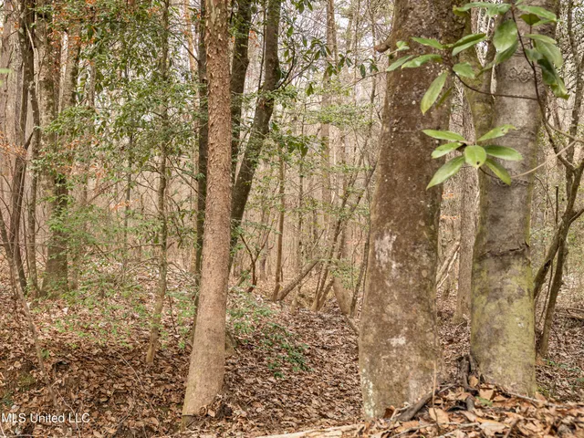 $542,500 | 0 Liberty Church Road, Meridian, MS 39301