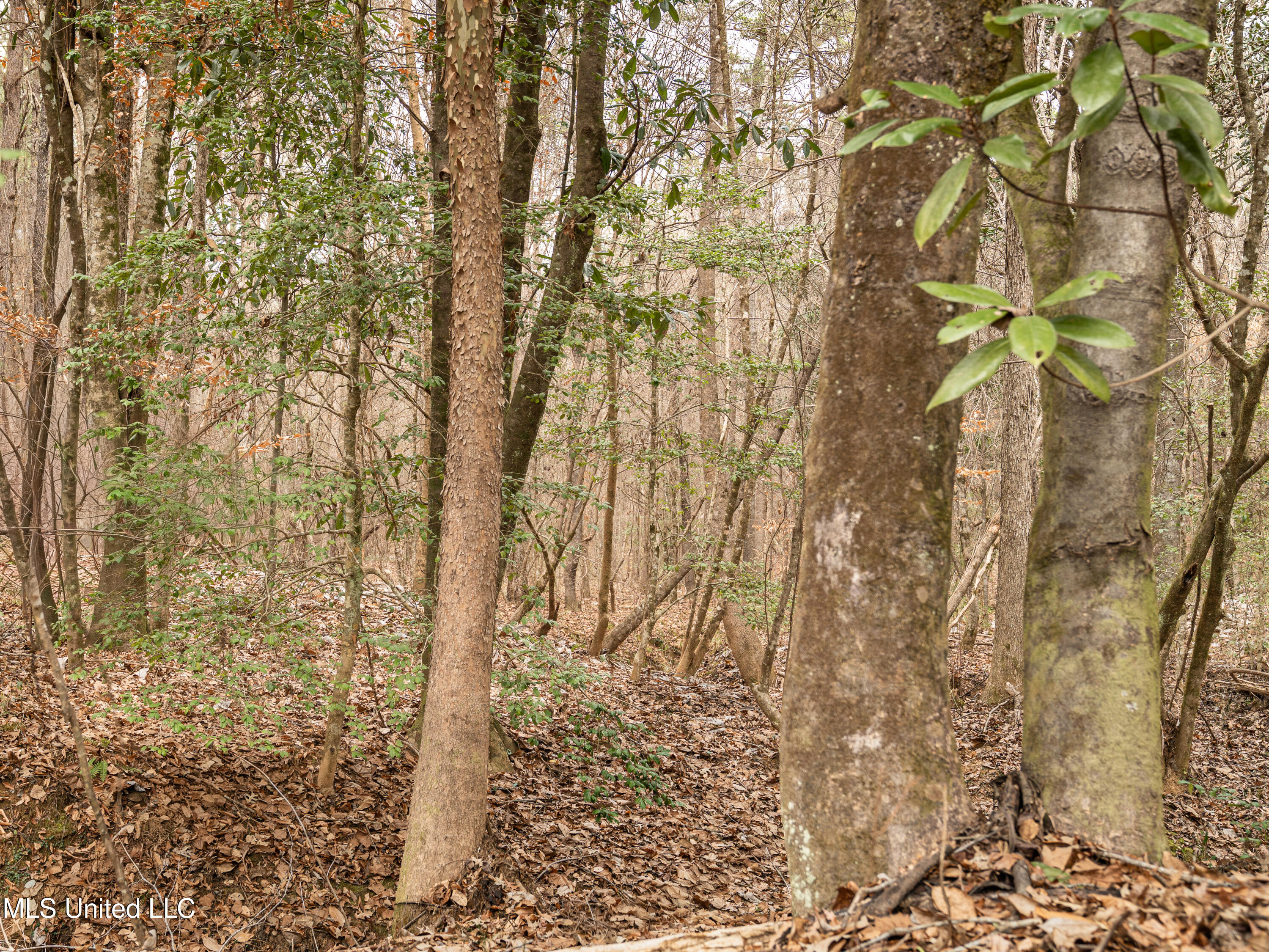 0 Liberty Church Road Meridian, MS 39301 - Photo 14 of 23 MIDWEST Drone 175acre-78
