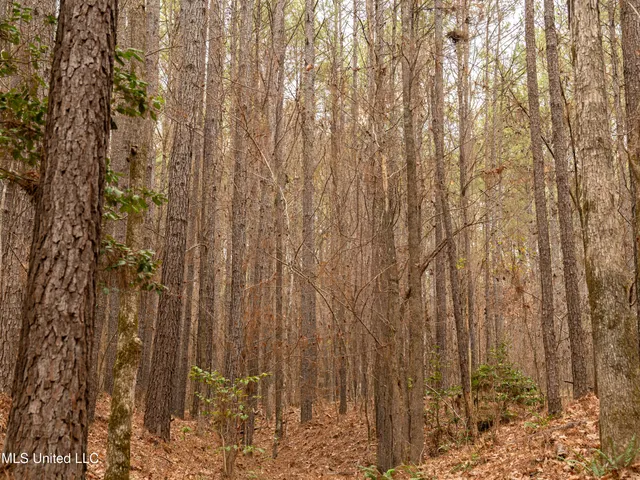 $542,500 | 0 Liberty Church Road, Meridian, MS 39301