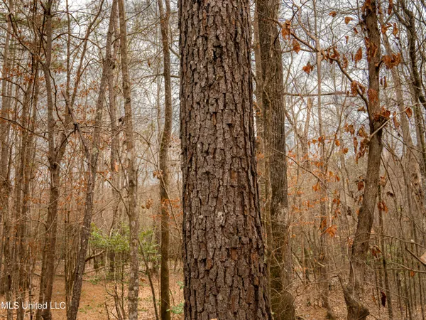 $542,500 | 0 Liberty Church Road, Meridian, MS 39301