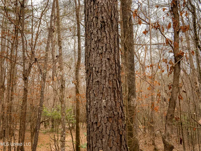 $542,500 | 0 Liberty Church Road, Meridian, MS 39301