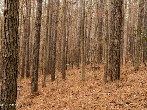 $542,500 | 0 Liberty Church Road, Meridian, MS 39301