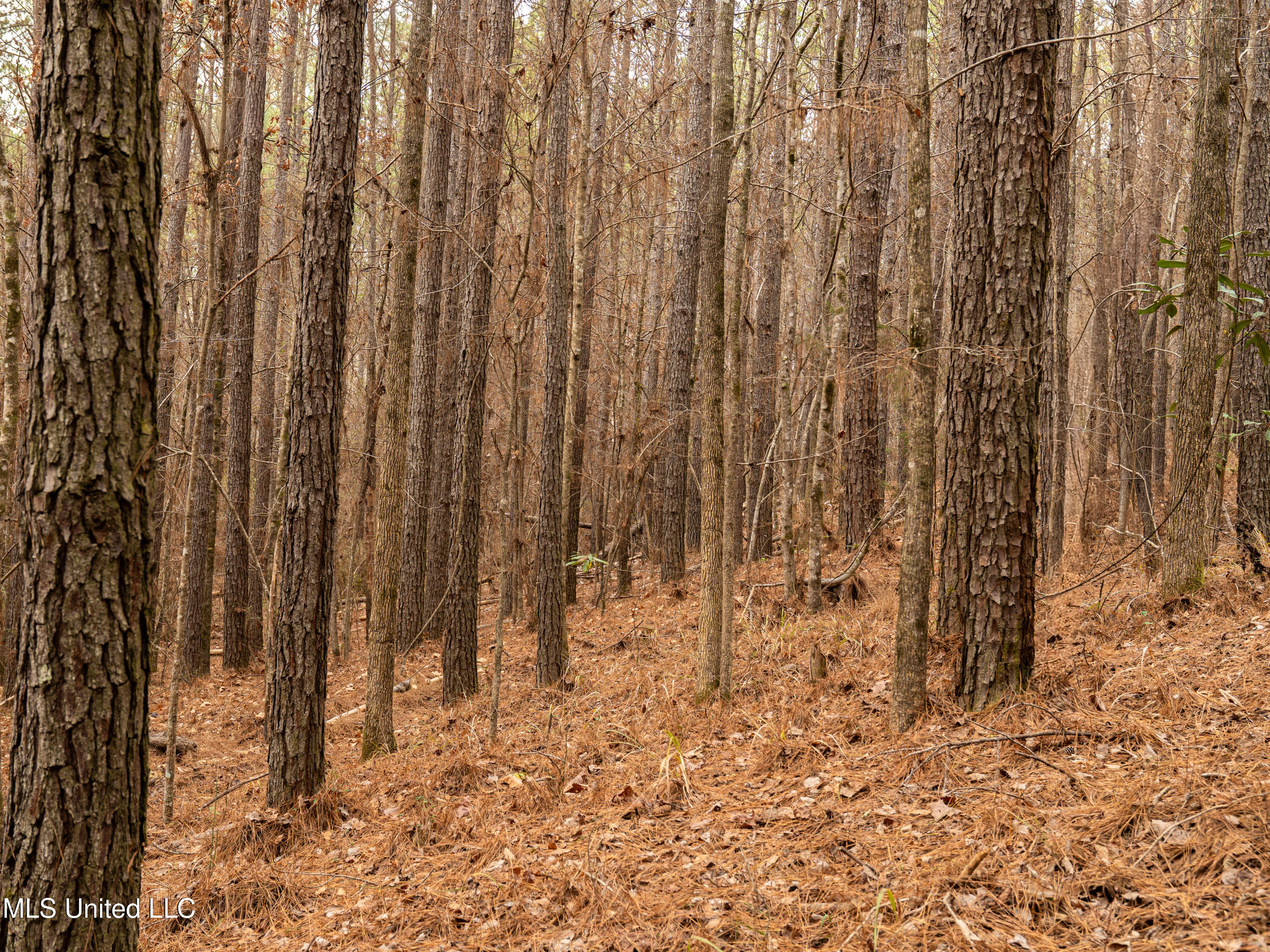 0 Liberty Church Road Meridian, MS 39301 - Photo 17 of 23 MIDWEST Drone 175acre-82