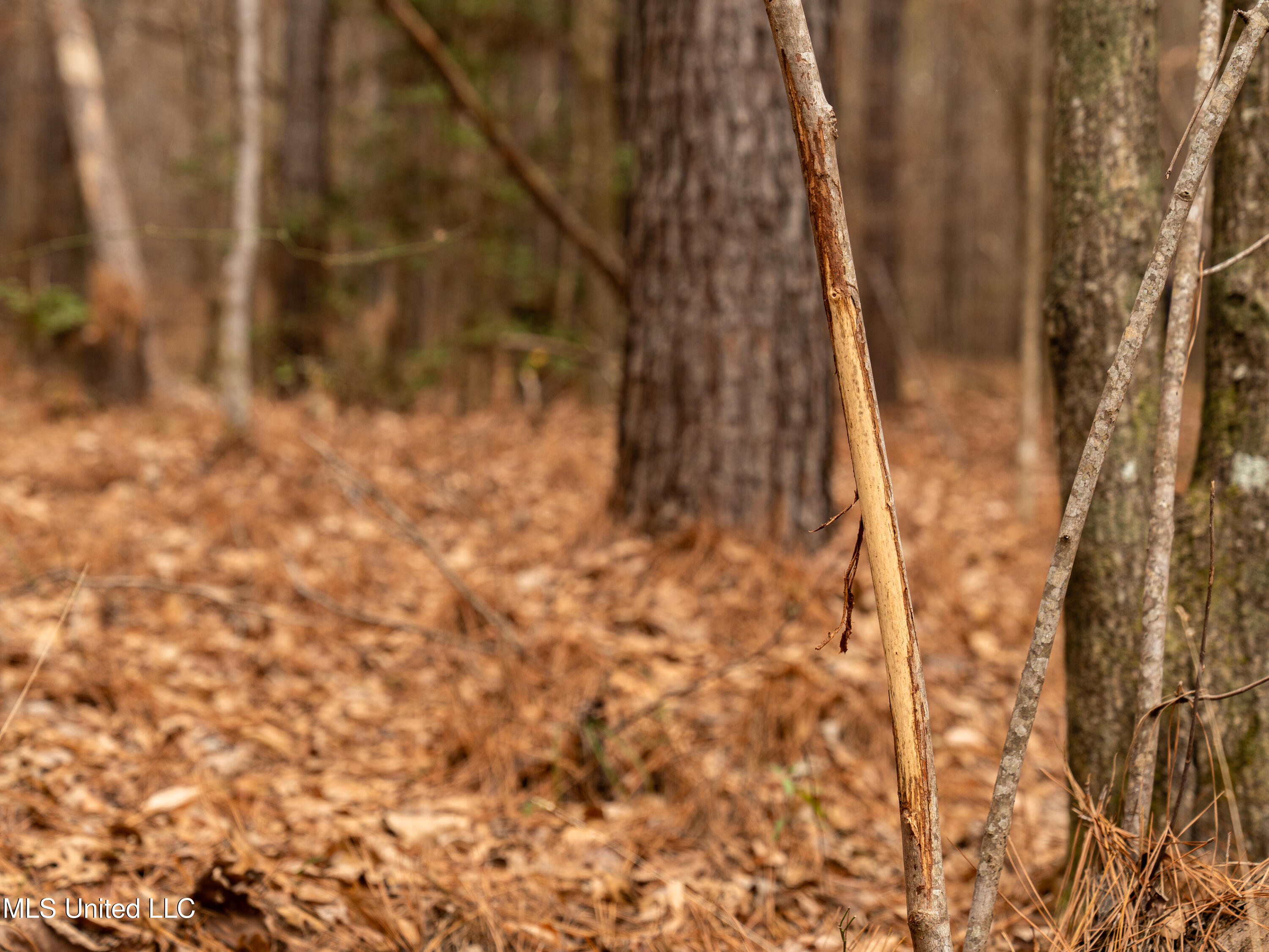 0 Liberty Church Road Meridian, MS 39301 - Photo 18 of 23 MIDWEST Drone 175acre-83