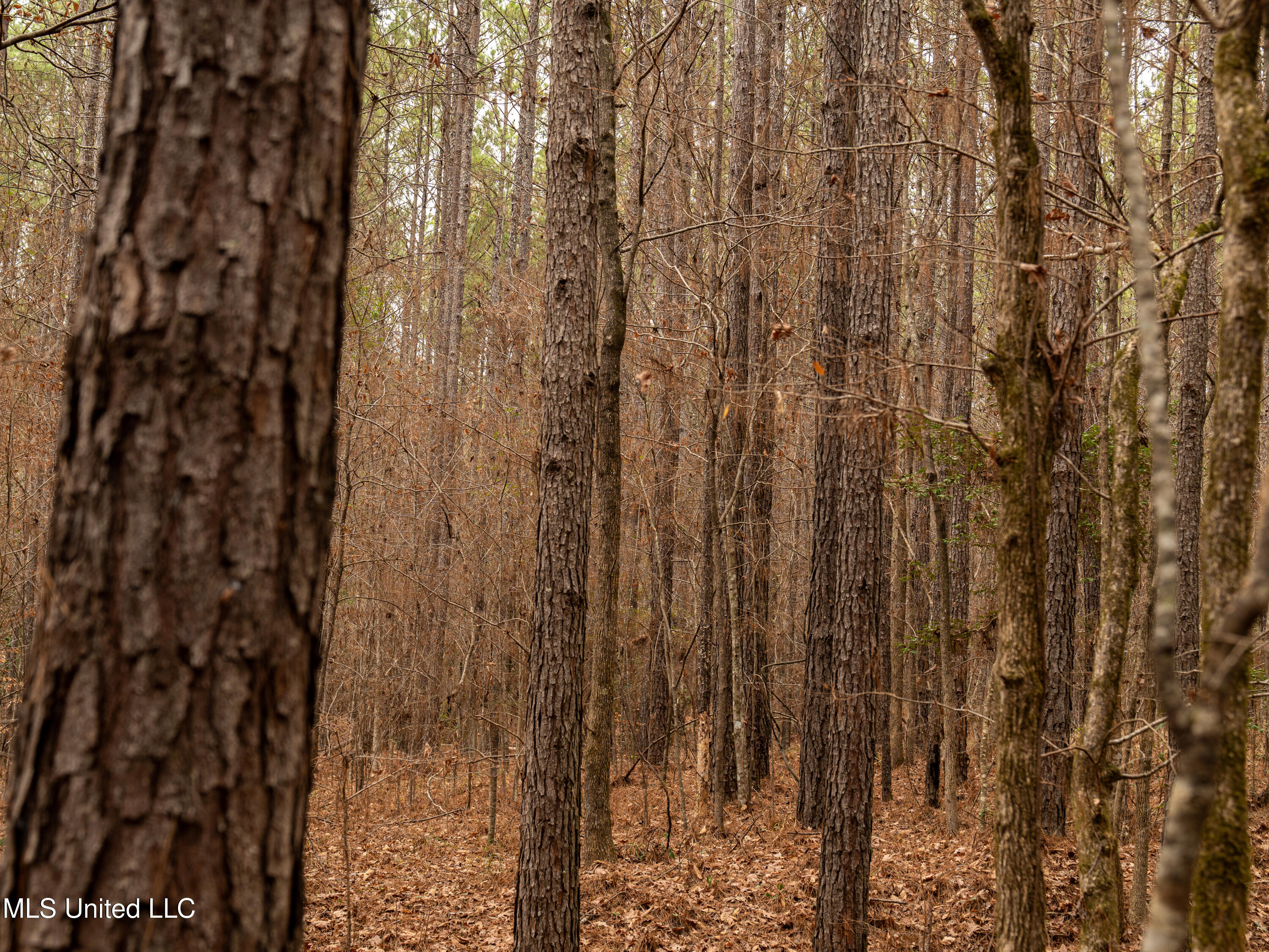 0 Liberty Church Road Meridian, MS 39301 - Photo 19 of 23 MIDWEST Drone 175acre-84