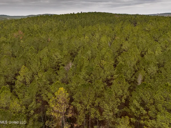 $542,500 | 0 Liberty Church Road, Meridian, MS 39301